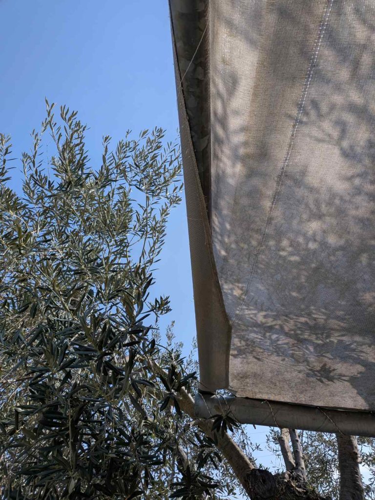 ΕΠΙΣΚΕΥΗ 02